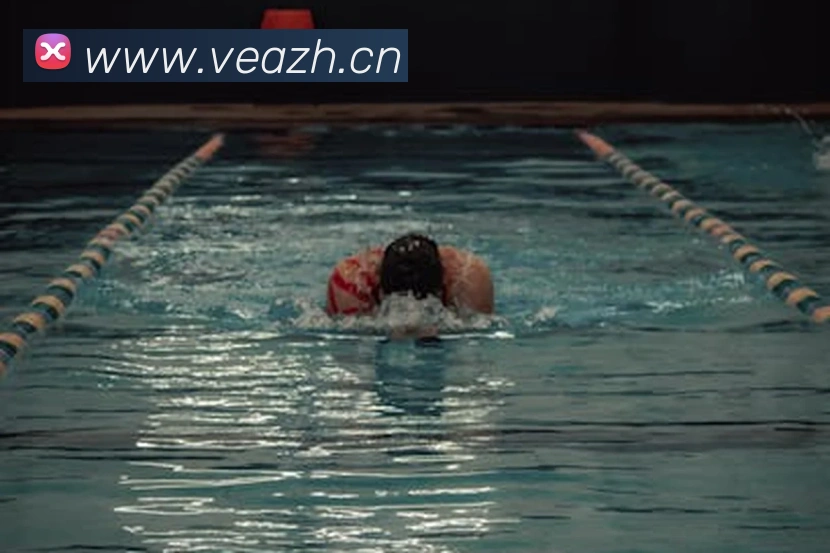 多媒体互动体验